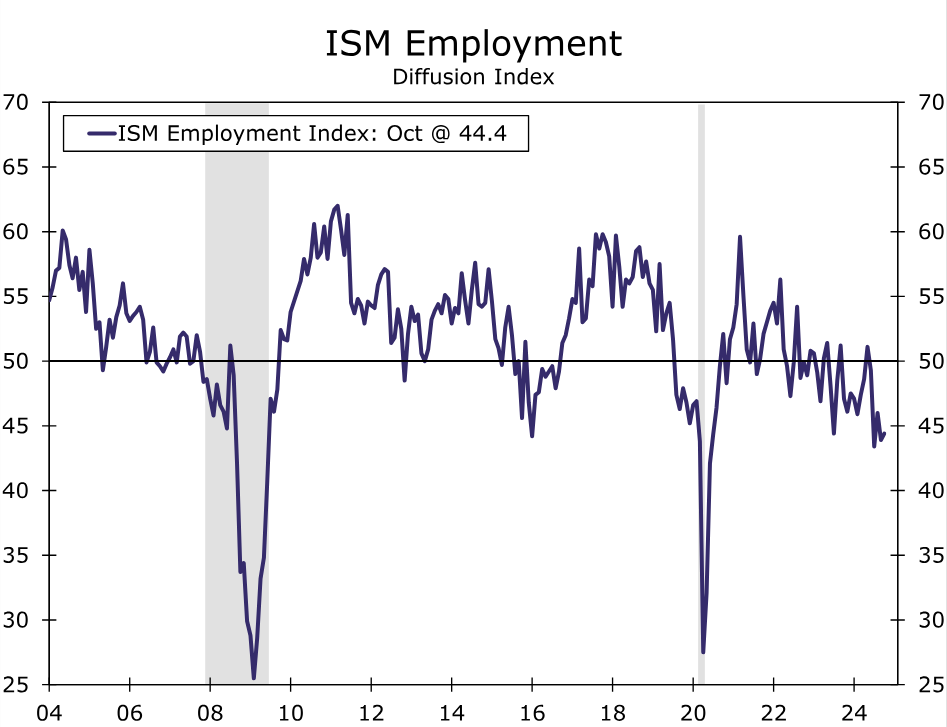 平南县放生23尾国家二级保护动物斑鳠