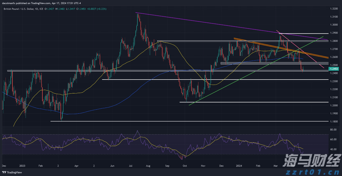 以“档案视角”讲好雷州故事