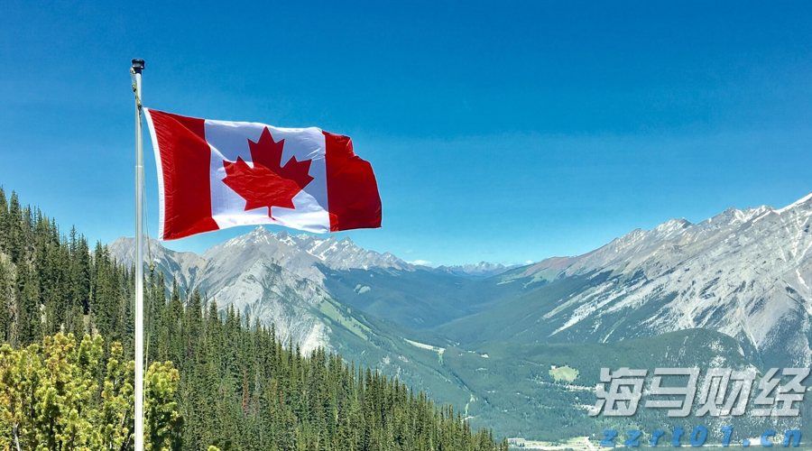 梅州海关供港澳活猪远程检疫监装模式正式启动